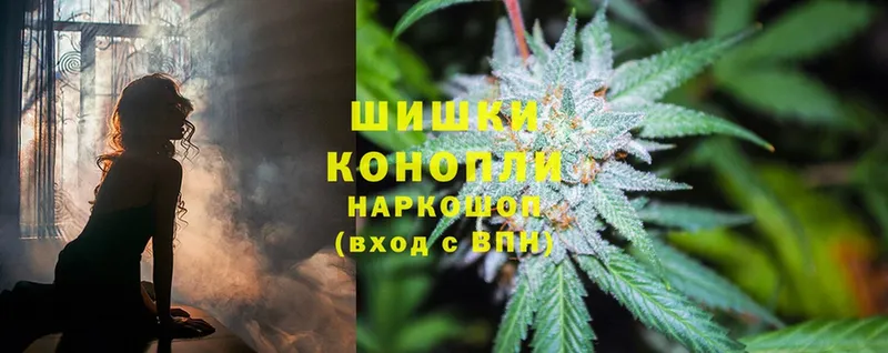 Конопля White Widow  Кисловодск 